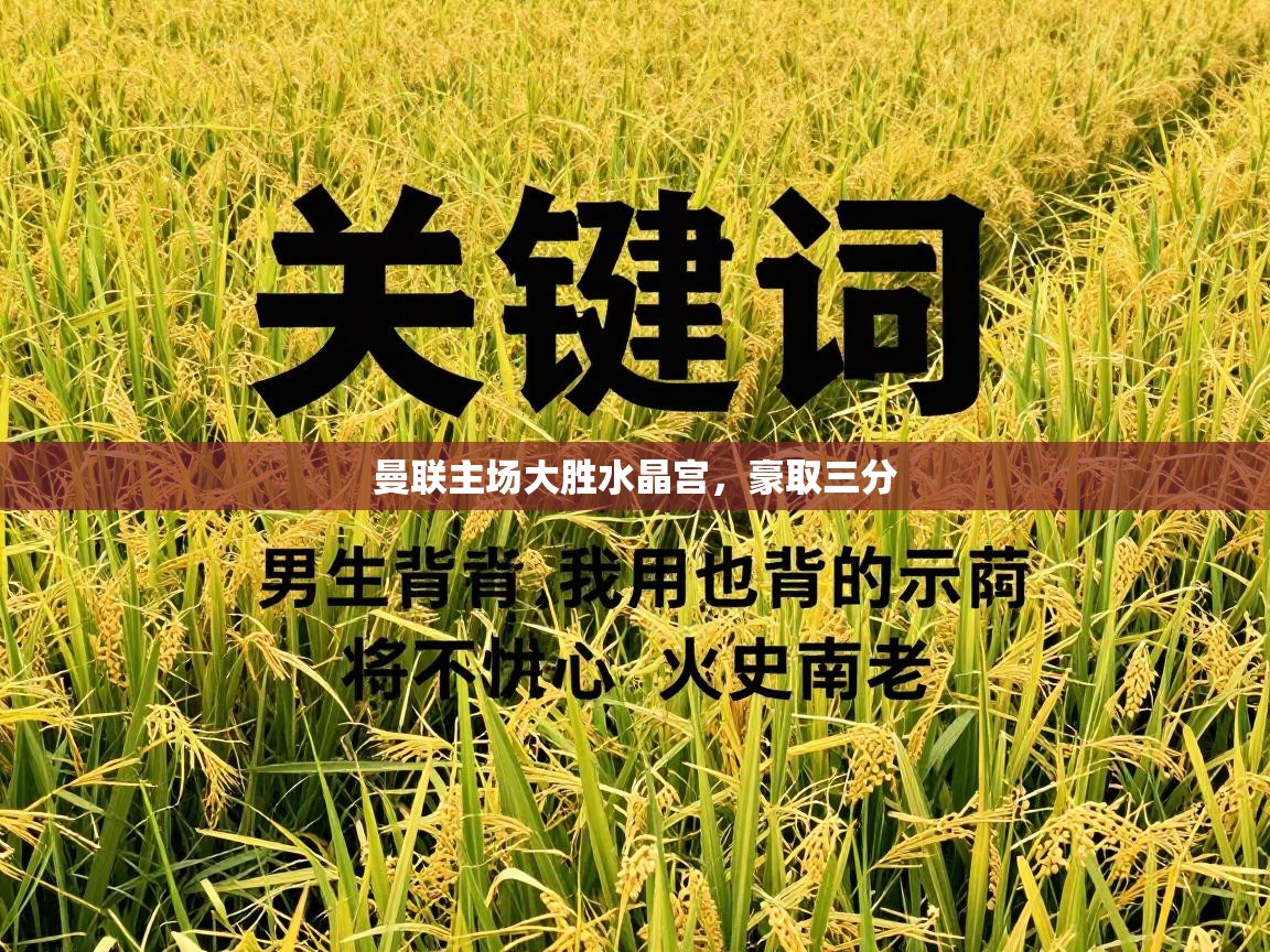 曼联主场大胜水晶宫，豪取三分  第1张