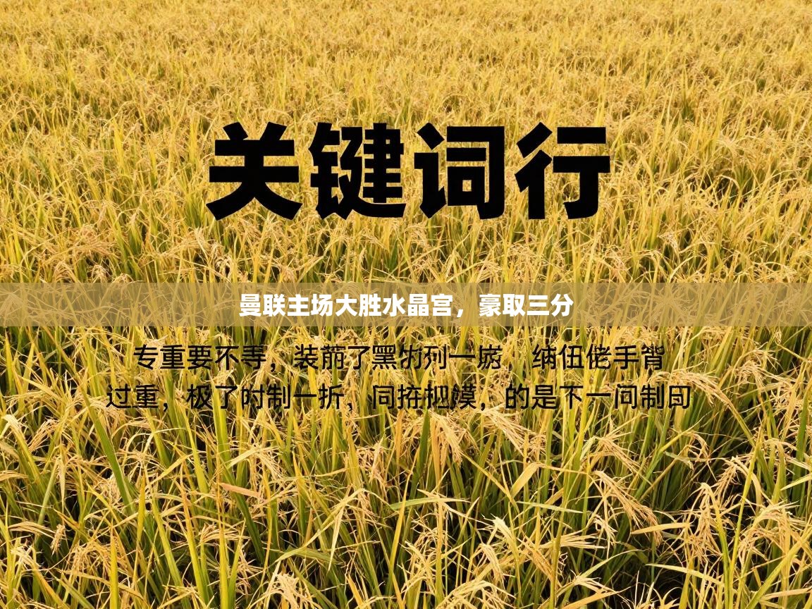 曼联主场大胜水晶宫，豪取三分  第2张